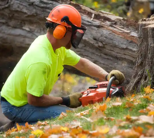 tree services Blue Point